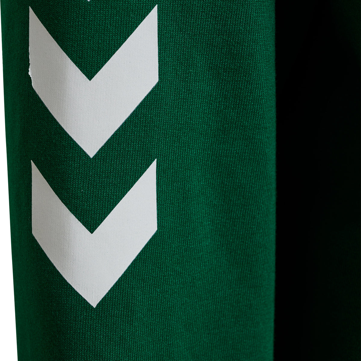 6140-EVERGREEN
