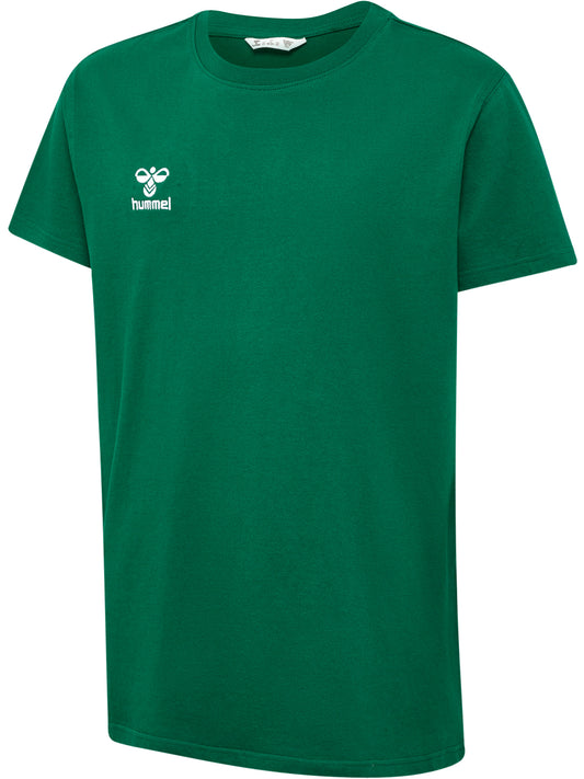 6140-EVERGREEN