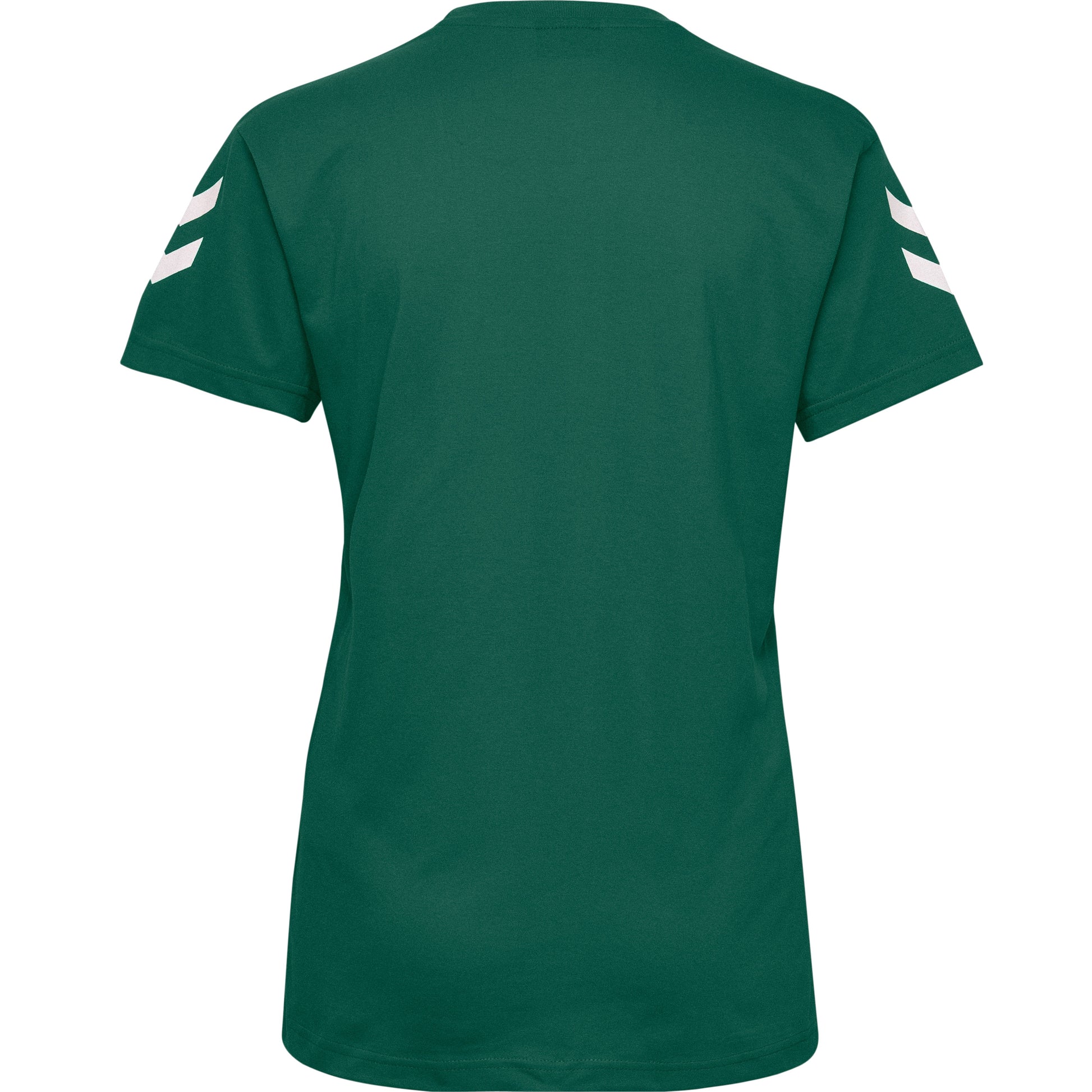 6140-EVERGREEN