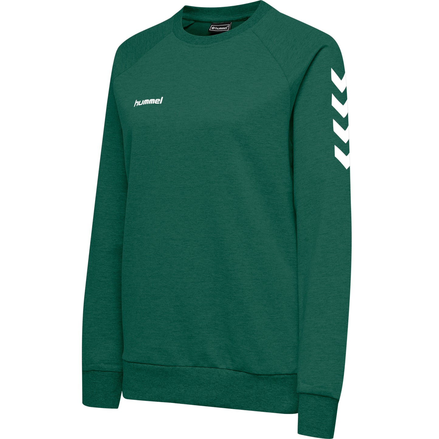 6140-EVERGREEN