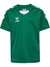 6140-EVERGREEN