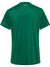 6140-EVERGREEN