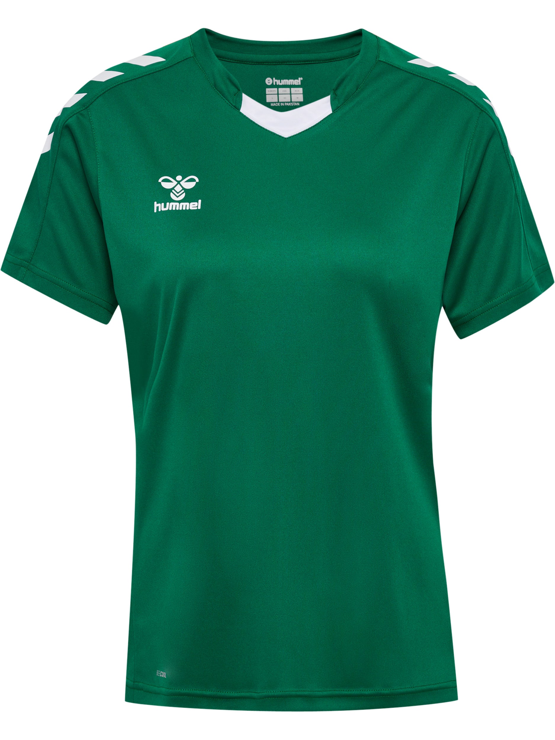 6140-EVERGREEN