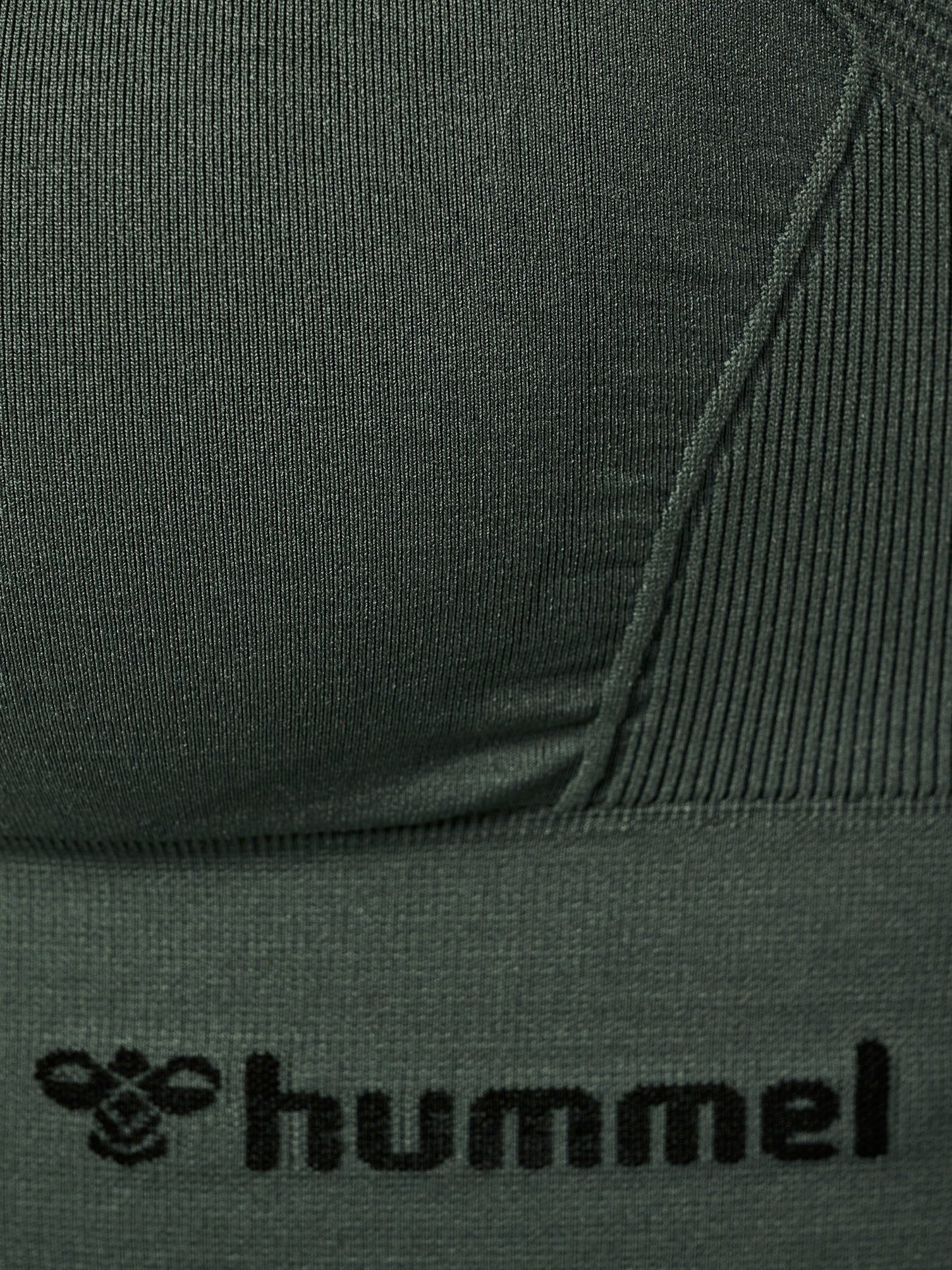 6126-CLIMBING IVY