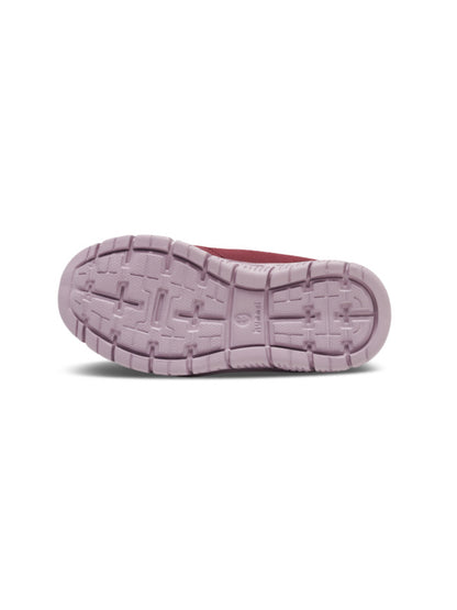 3679-CATAWBA GRAPE