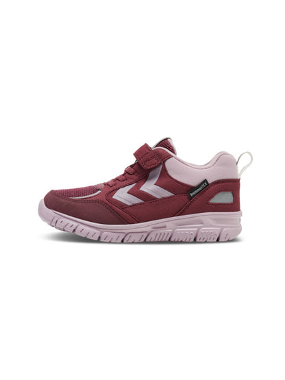 3679-CATAWBA GRAPE