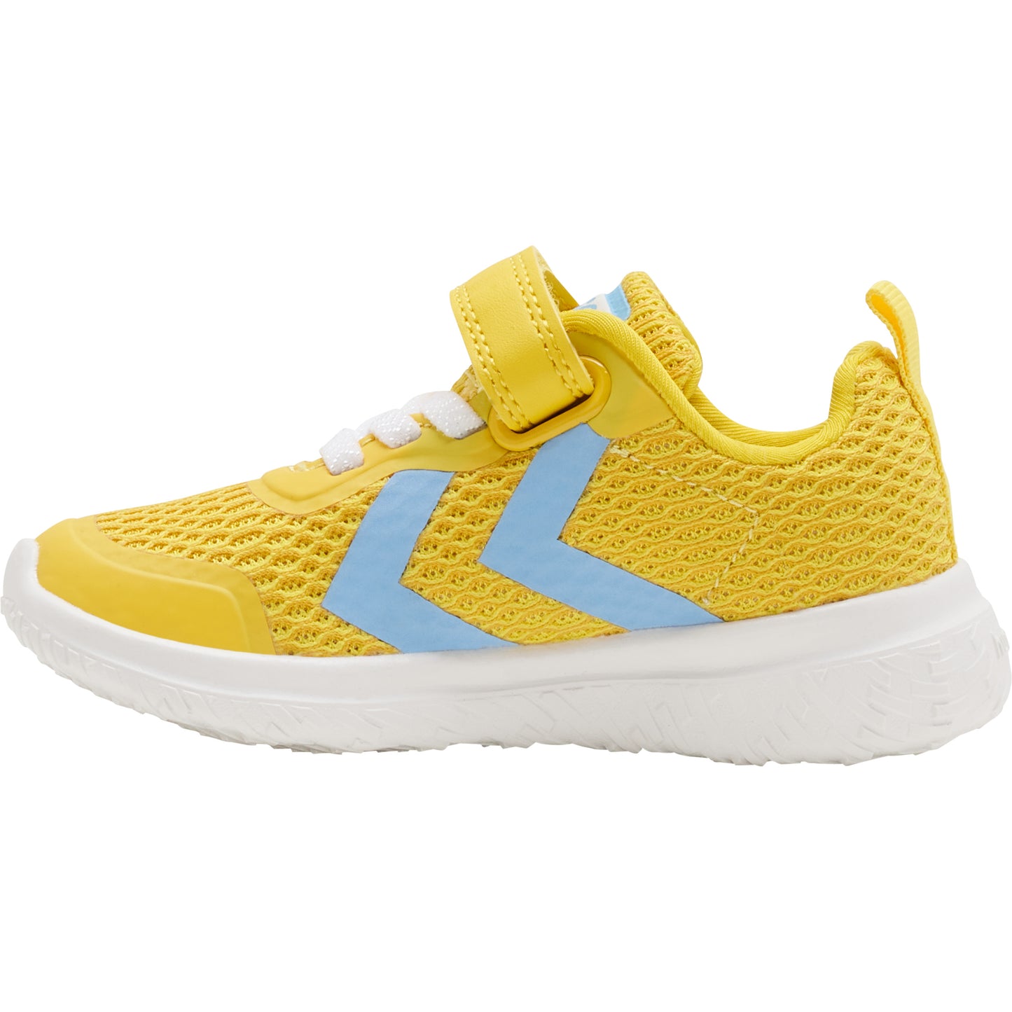 5096-MAIZE