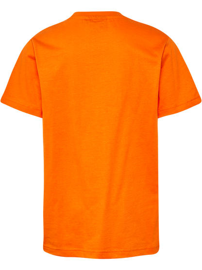 4421-PERSIMMON ORANGE
