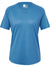 4250-CORONET BLUE