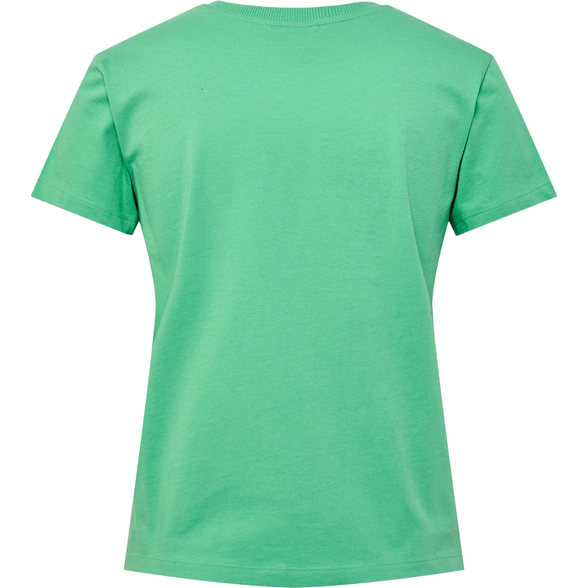 6109-GREEN SPRUCE