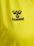 5269-BLAZING YELLOW