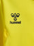 5269-BLAZING YELLOW
