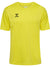 5269-BLAZING YELLOW