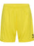 5269-BLAZING YELLOW
