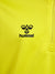 5269-BLAZING YELLOW