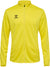 5269-BLAZING YELLOW