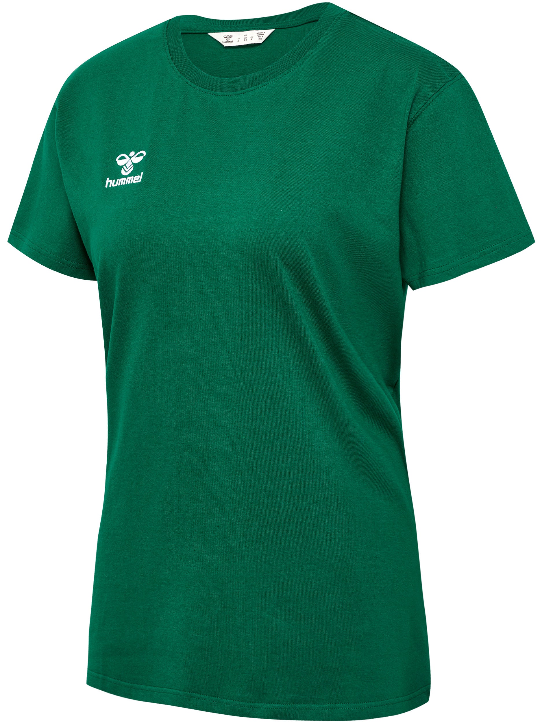 6140-EVERGREEN