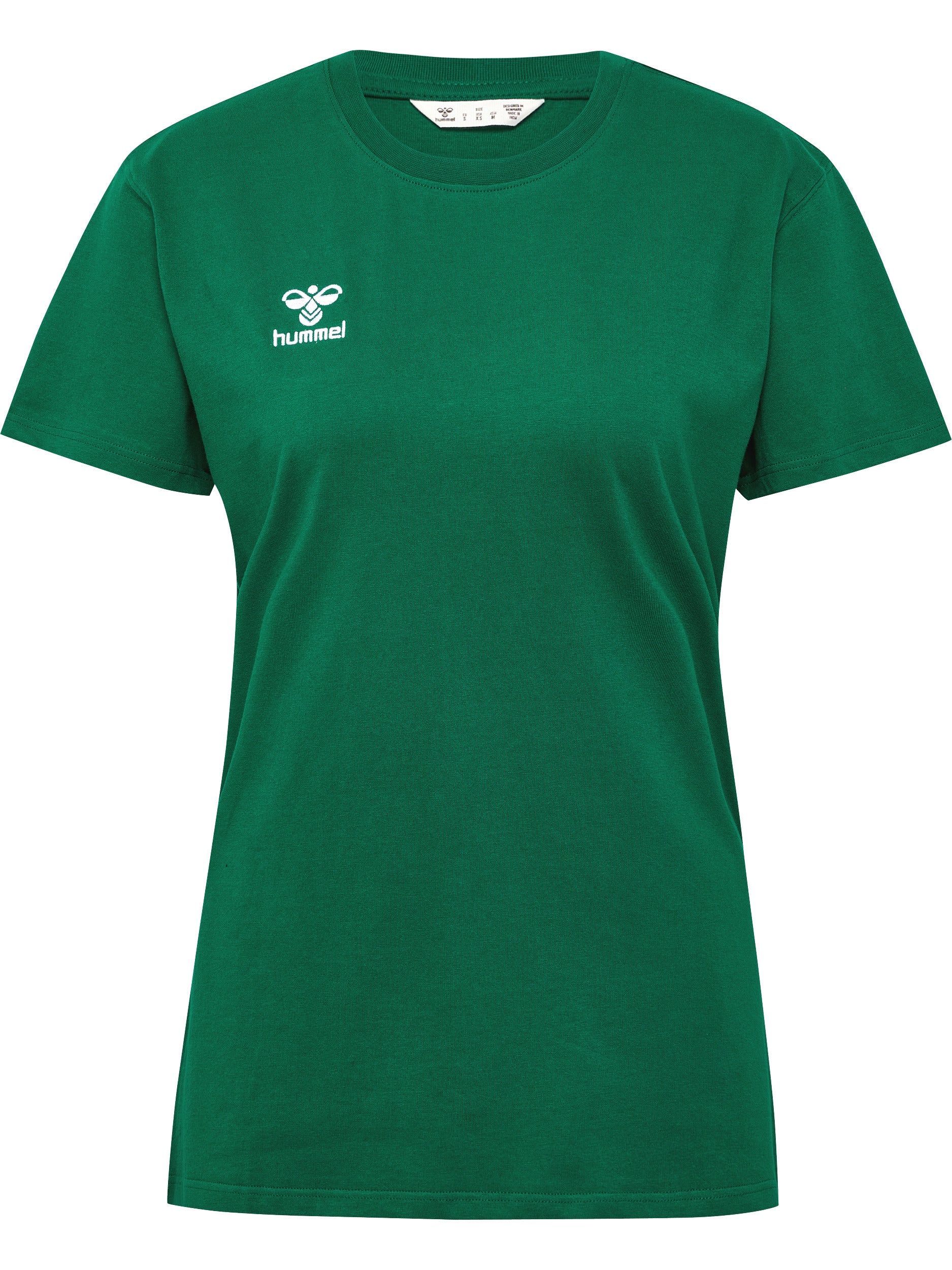 6140-EVERGREEN