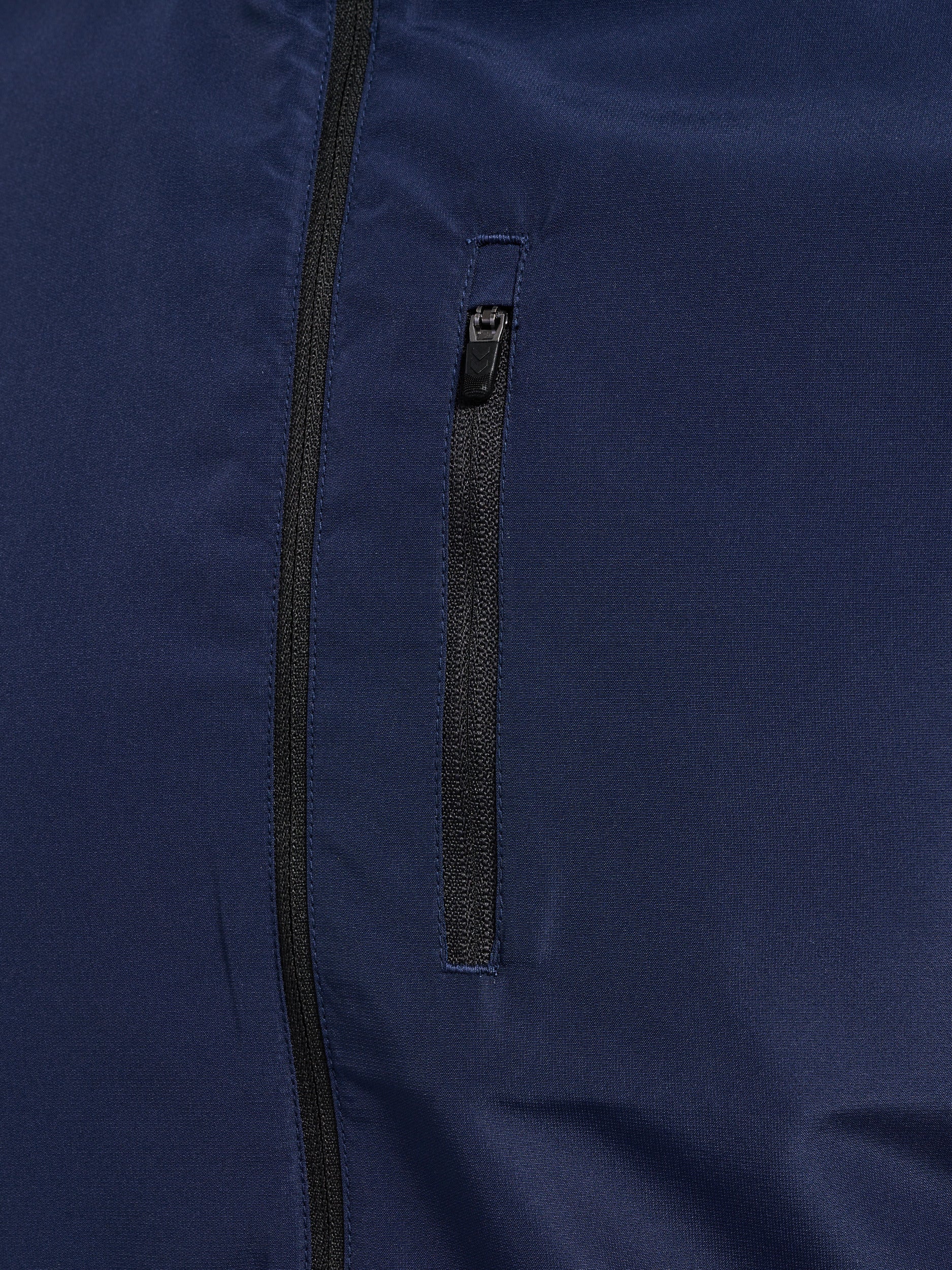 1009-BLACK IRIS