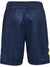 7795-DRESS BLUES/LIMEADE