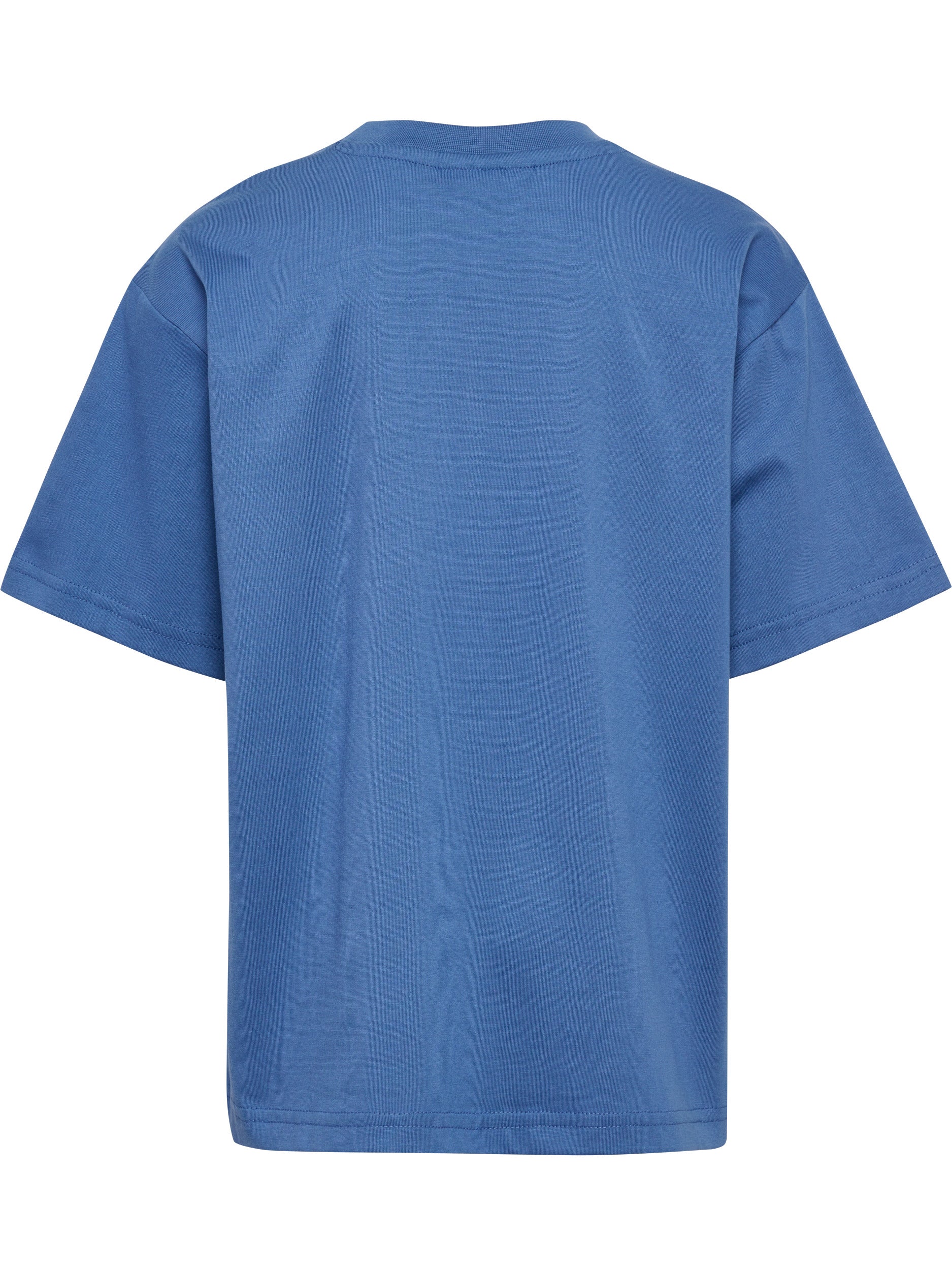 7379-DUTCH BLUE