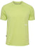 6175-SHADOW LIME