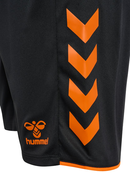 2461-BLACK/ORANGE TIGER