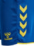 8606-TRUE BLUE/BLAZING YELLOW