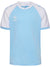 7473-ARGENTINA BLUE/WHITE