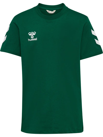 6140-EVERGREEN
