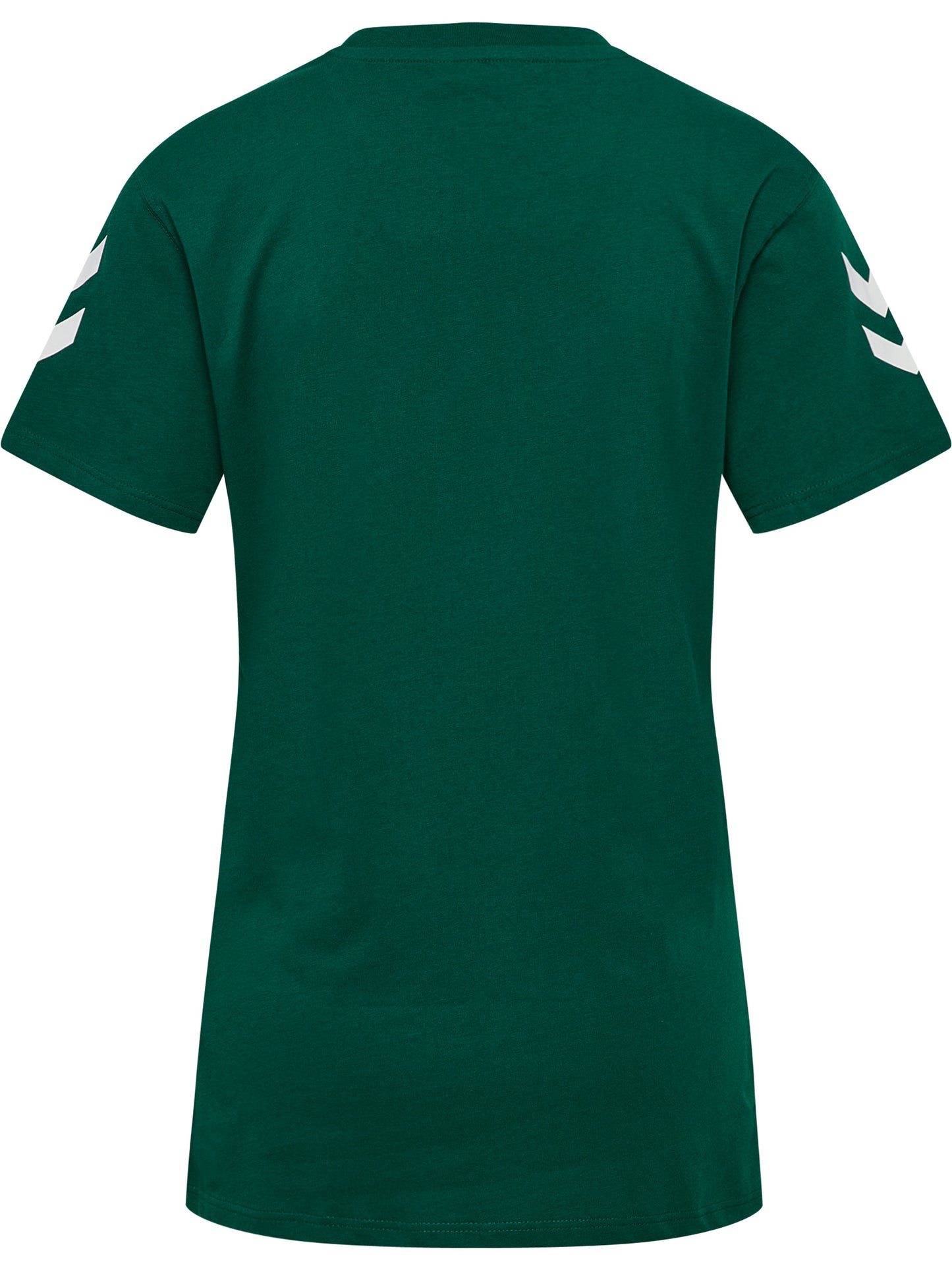 6140-EVERGREEN