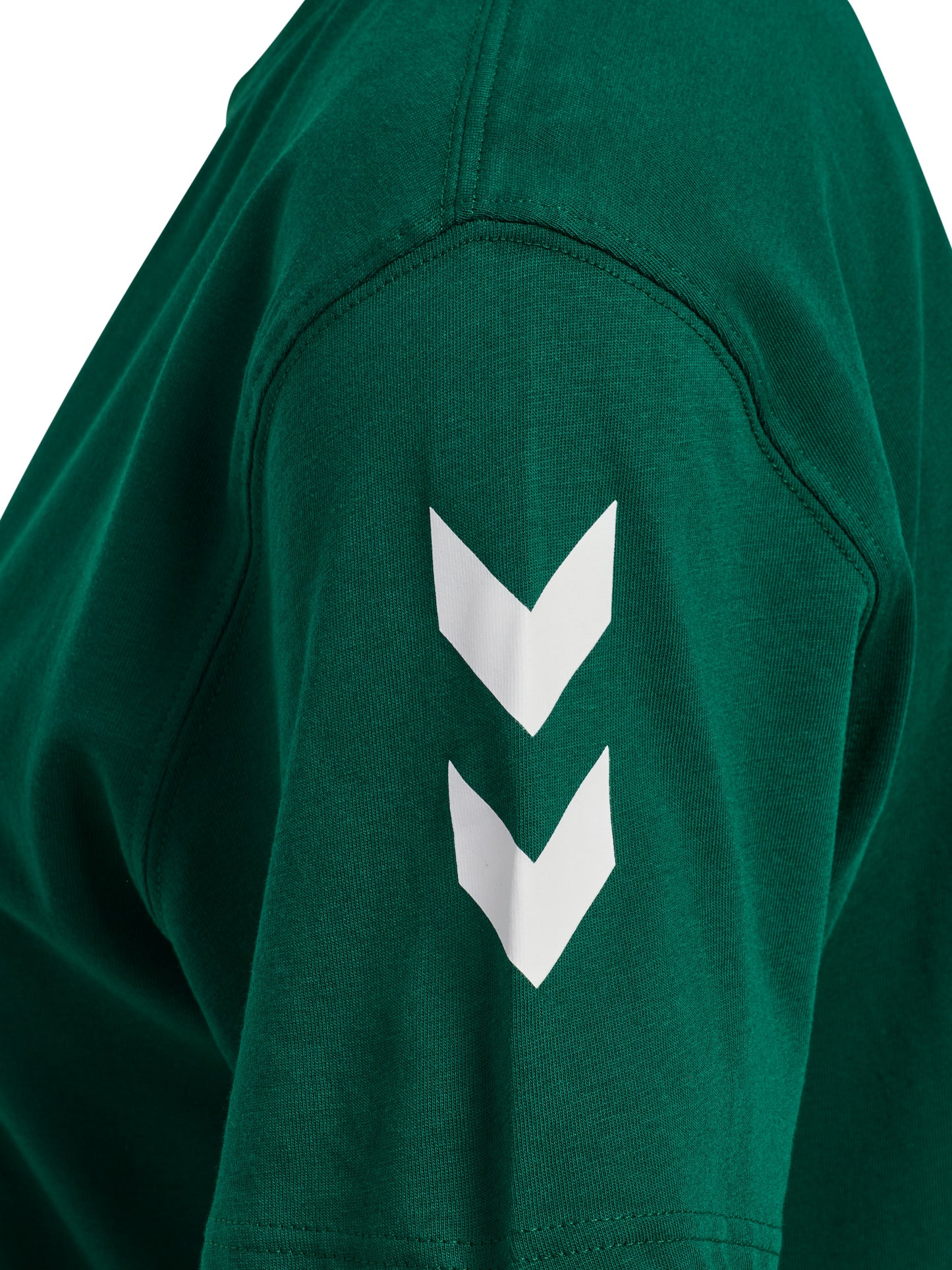 6140-EVERGREEN