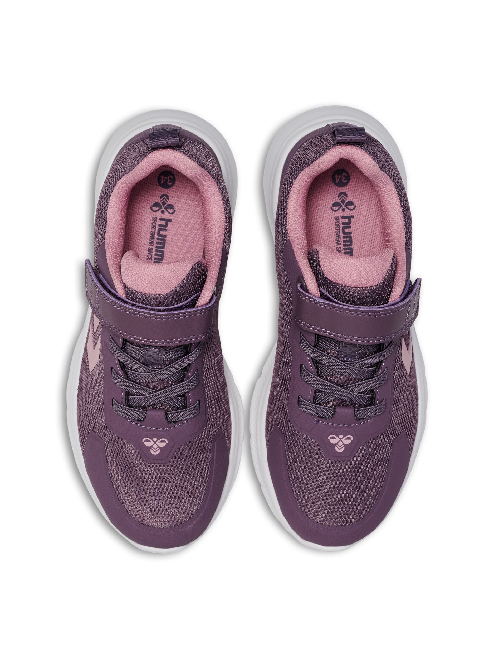 4856-BLACK PLUM