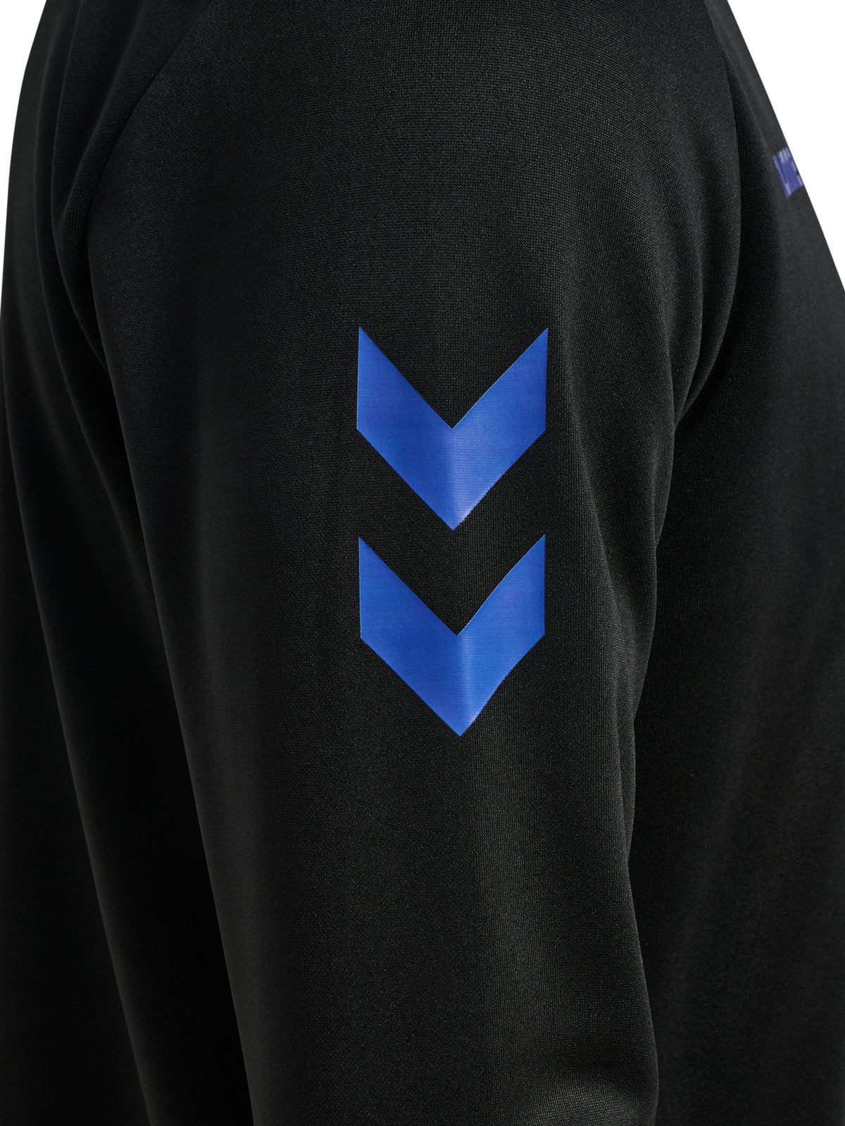 2431-BLACK/BLUE