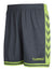 1616-DARK SLATE/GREEN FLASH