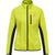 6102-EVENING PRIMROSE