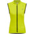 6102-EVENING PRIMROSE