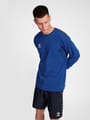 hmlAUTHENTIC CO TRAINING SWEAT